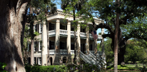 beaufort